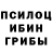 Псилоцибиновые грибы Psilocybine cubensis Helenessa Zulguk