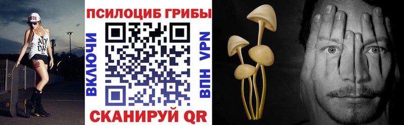 MEGA маркетплейс  Окуловка  Галлюциногенные грибы GOLDEN TEACHER 